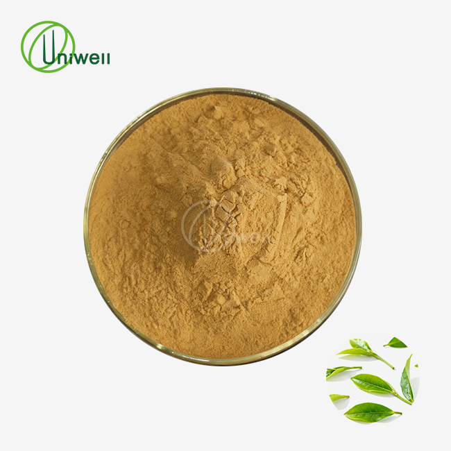 Green Tea Extract Powder